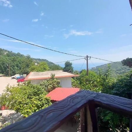 Hara'S House Pelion Apartment Makrirrakhi Luaran gambar
