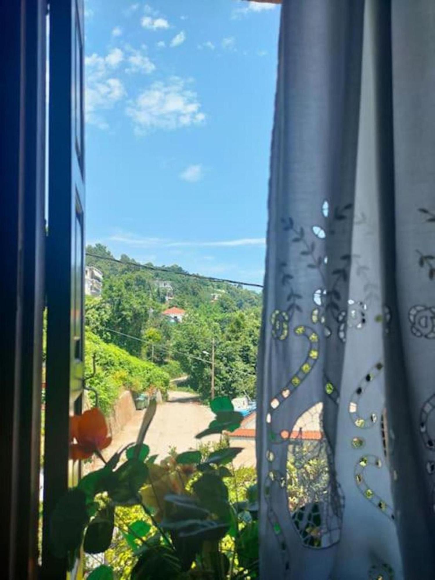 Hara'S House Pelion Apartment Makrirrakhi Luaran gambar