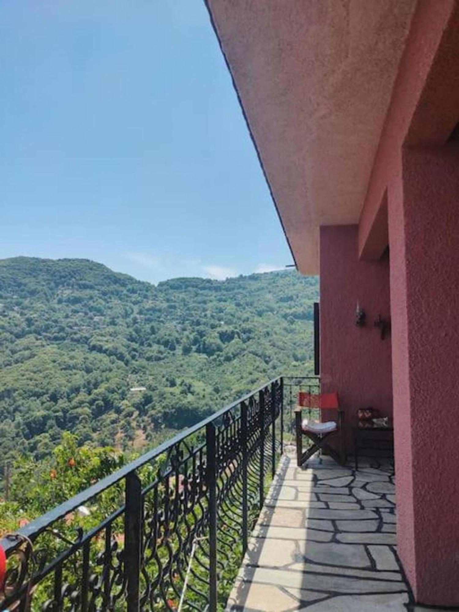 Hara'S House Pelion Apartment Makrirrakhi Luaran gambar