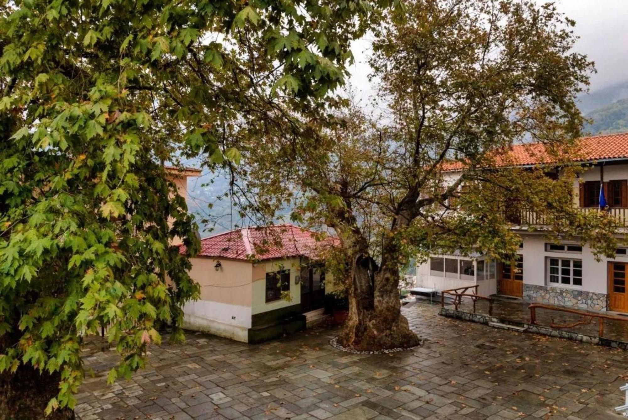 Hara'S House Pelion Apartment Makrirrakhi Luaran gambar