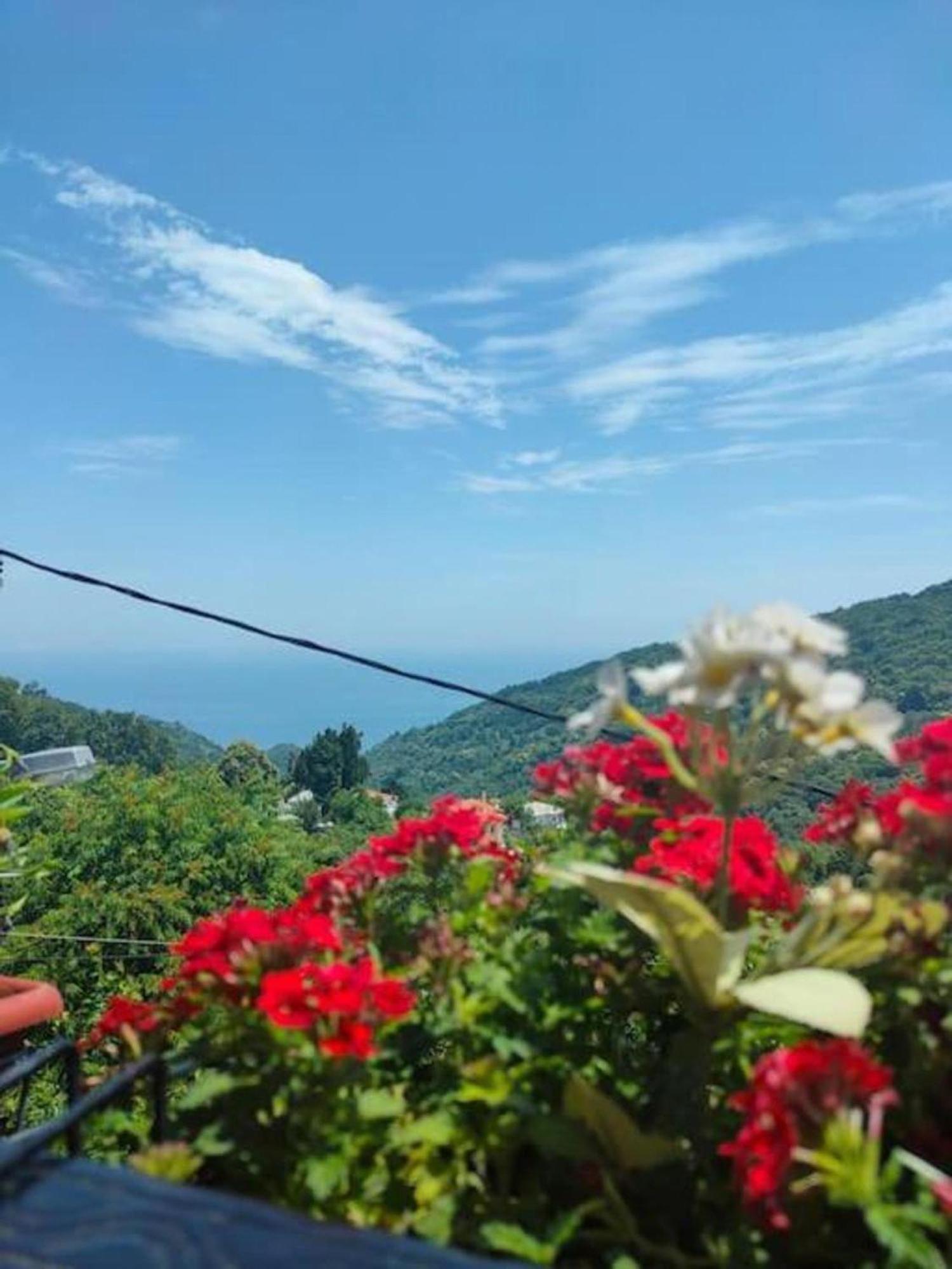 Hara'S House Pelion Apartment Makrirrakhi Luaran gambar