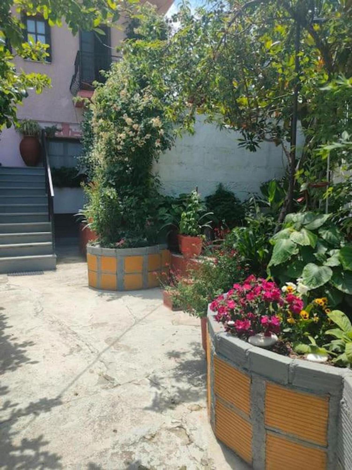 Hara'S House Pelion Apartment Makrirrakhi Luaran gambar
