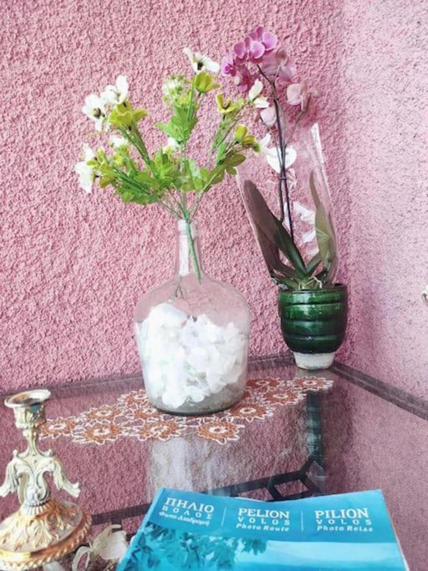Hara'S House Pelion Apartment Makrirrakhi Luaran gambar